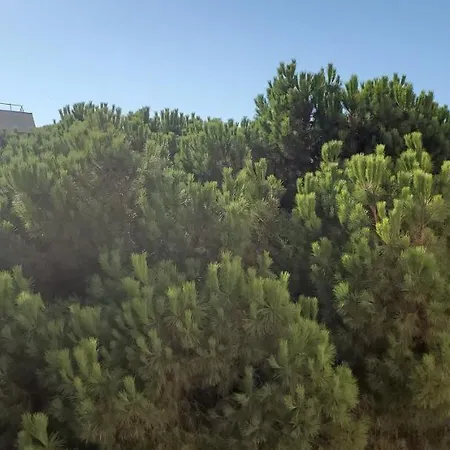 La Miougrano, T2-3 49m2, 5 Personn Διαμέρισμα Fréjus