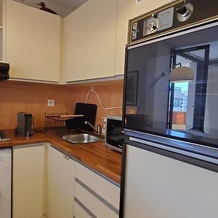 Apartament La Miougrano, T2-3 49m2, 5 Personn
